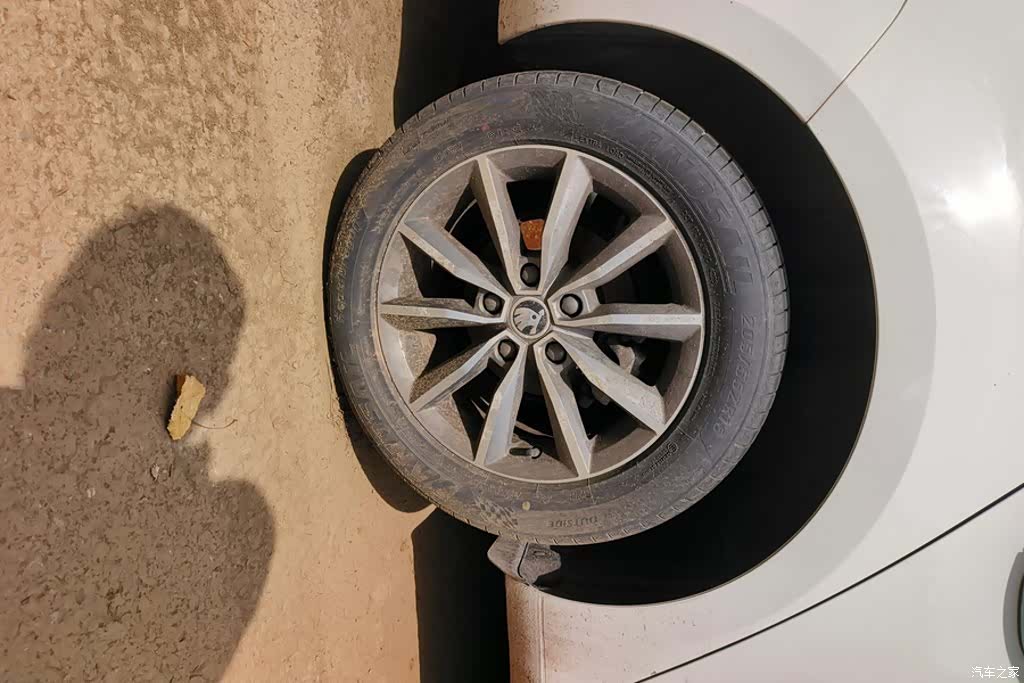 Skoda Octavia, 2019 6