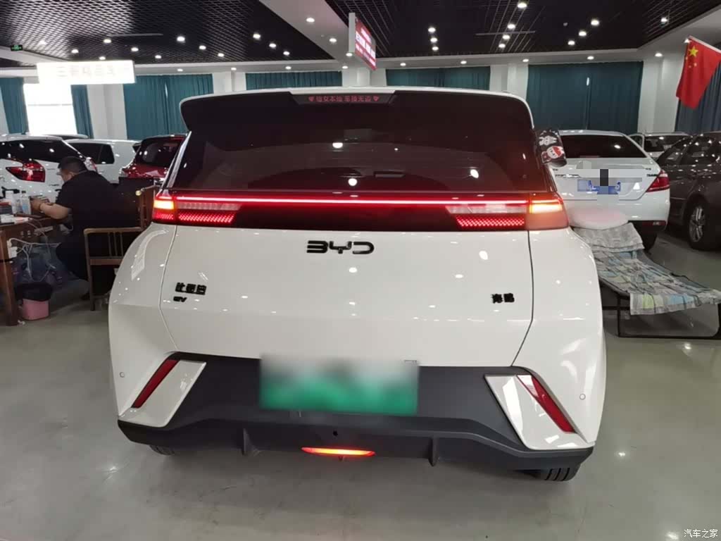 BYD Seagull, 2024 6