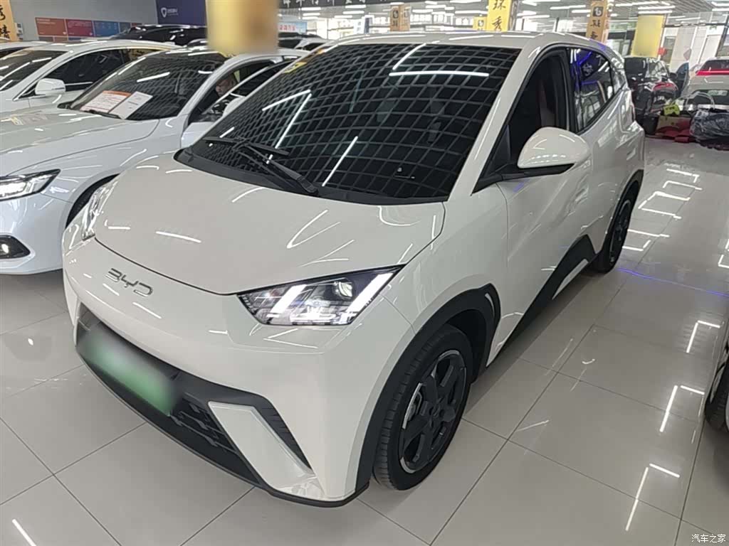 BYD Seagull, 2023 2