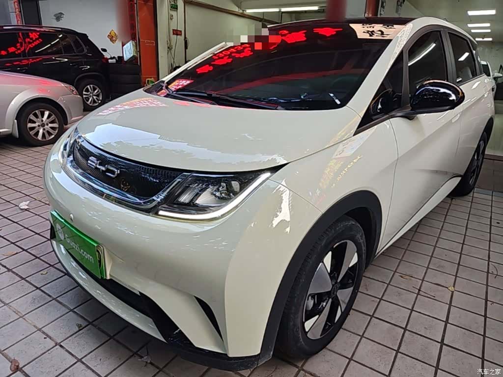 BYD Dolphin, 2023 2