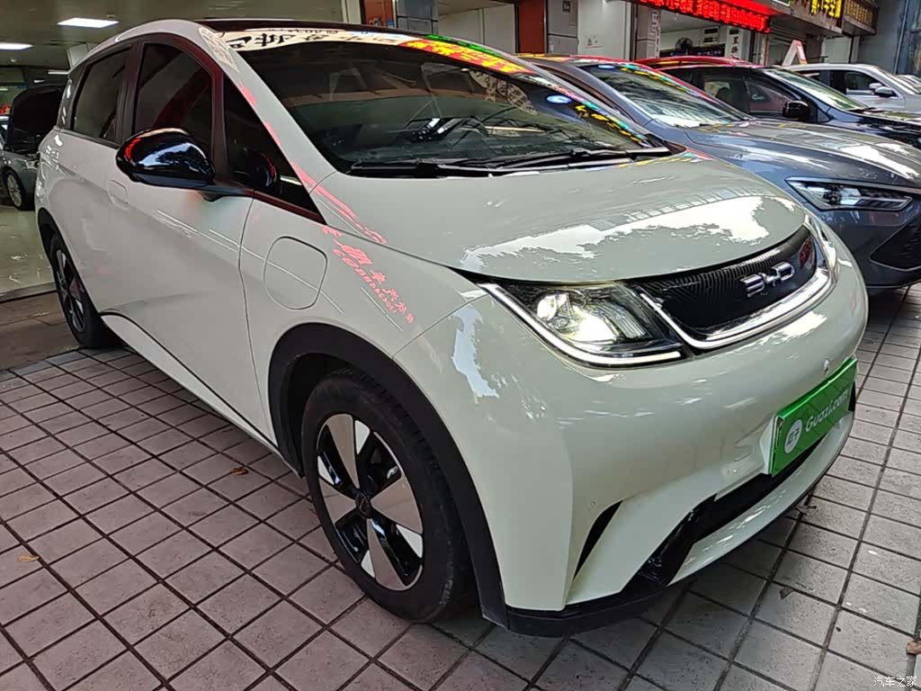 BYD Dolphin, 2023 4