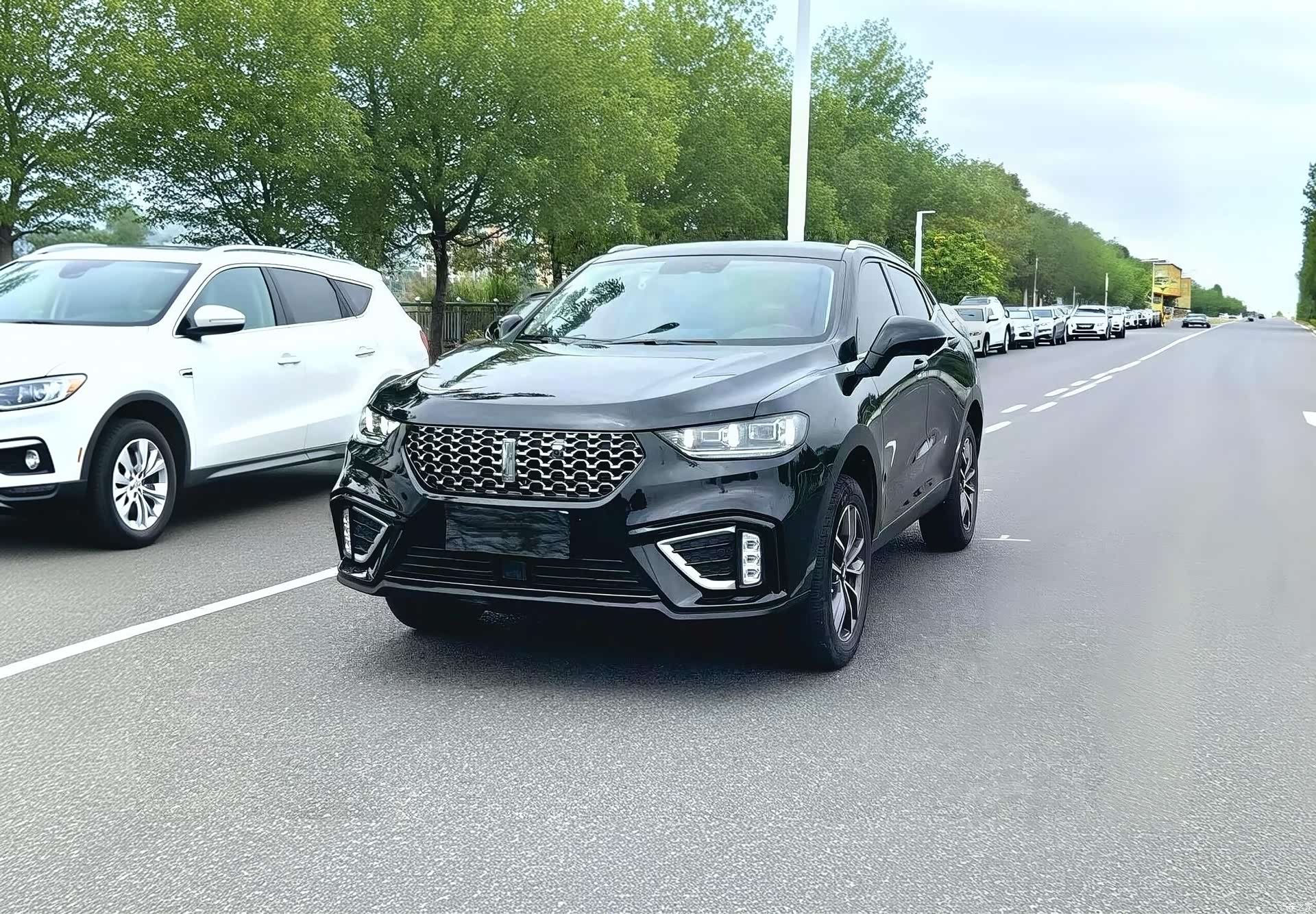 WEY VV5, 2020 1