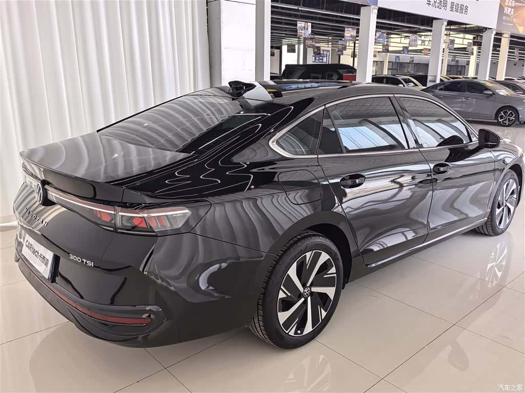 Volkswagen Magotan, 2025 6