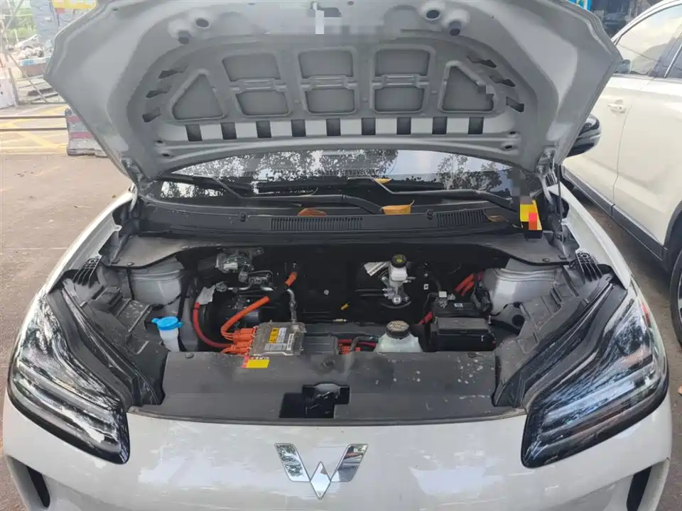 Wuling Wuling Bingguo PLUS