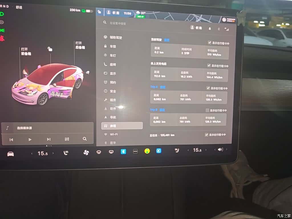 Tesla Model 3, 2021 12