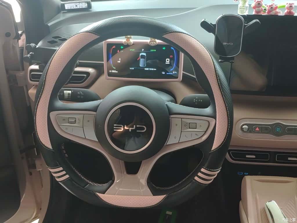 BYD Seagull, 2025 11
