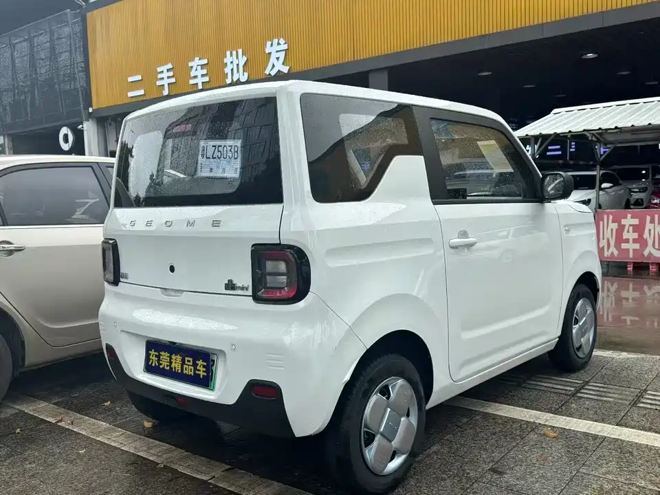 Geely Galaxy panda