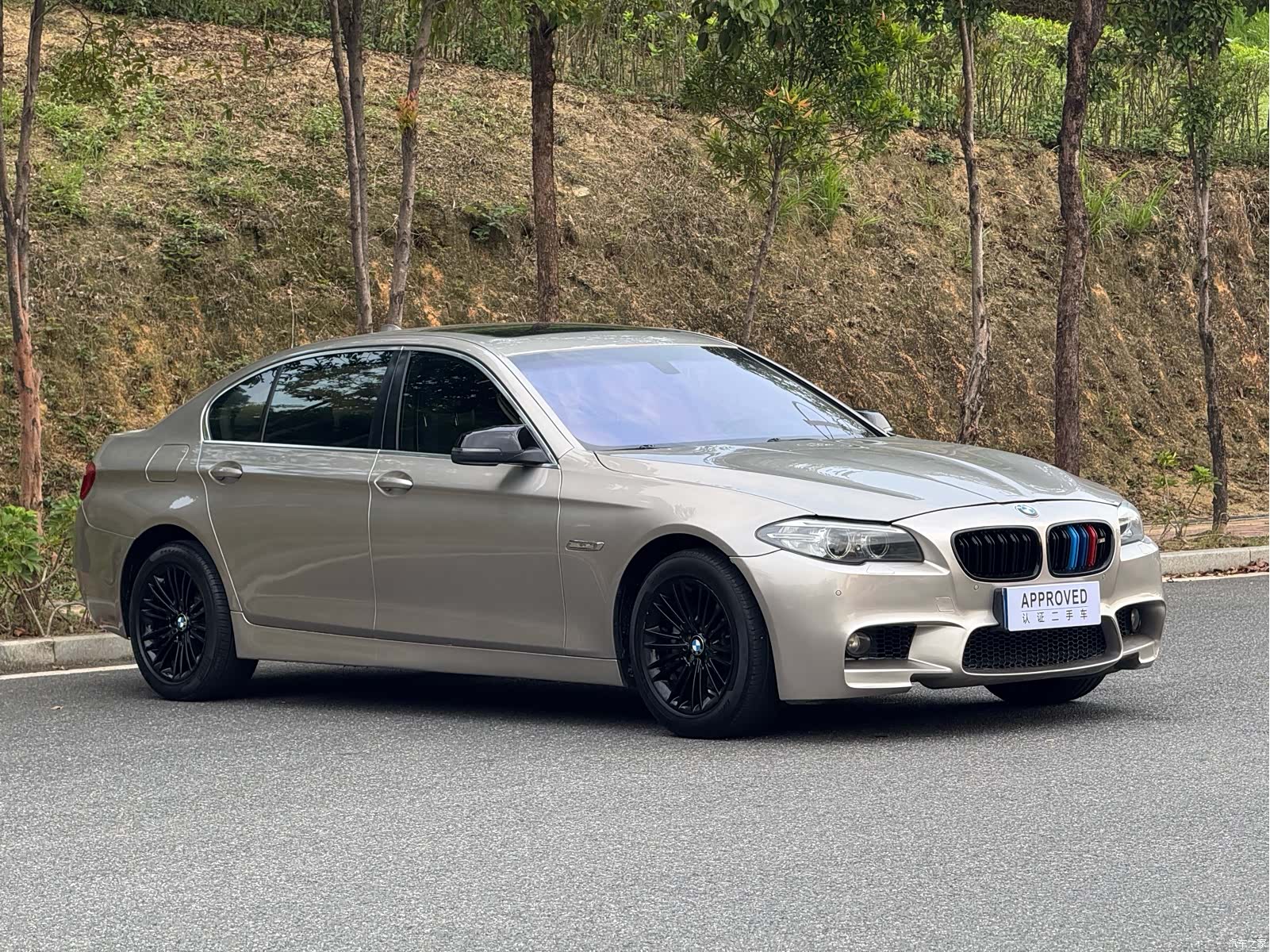 BMW 5 Series, 2014 3
