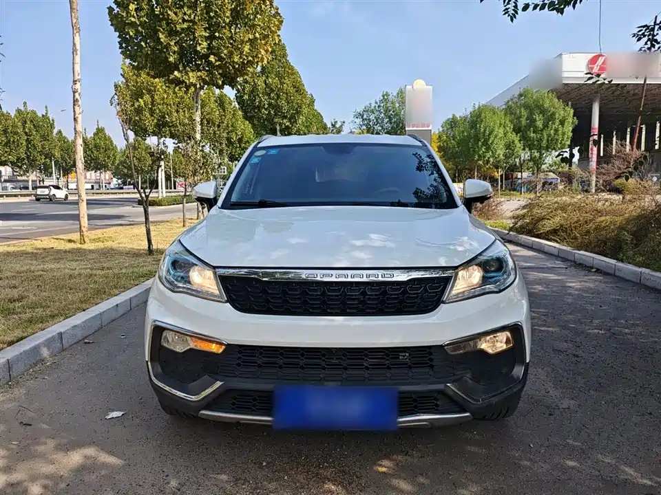 Leopaard Cheetah CS9