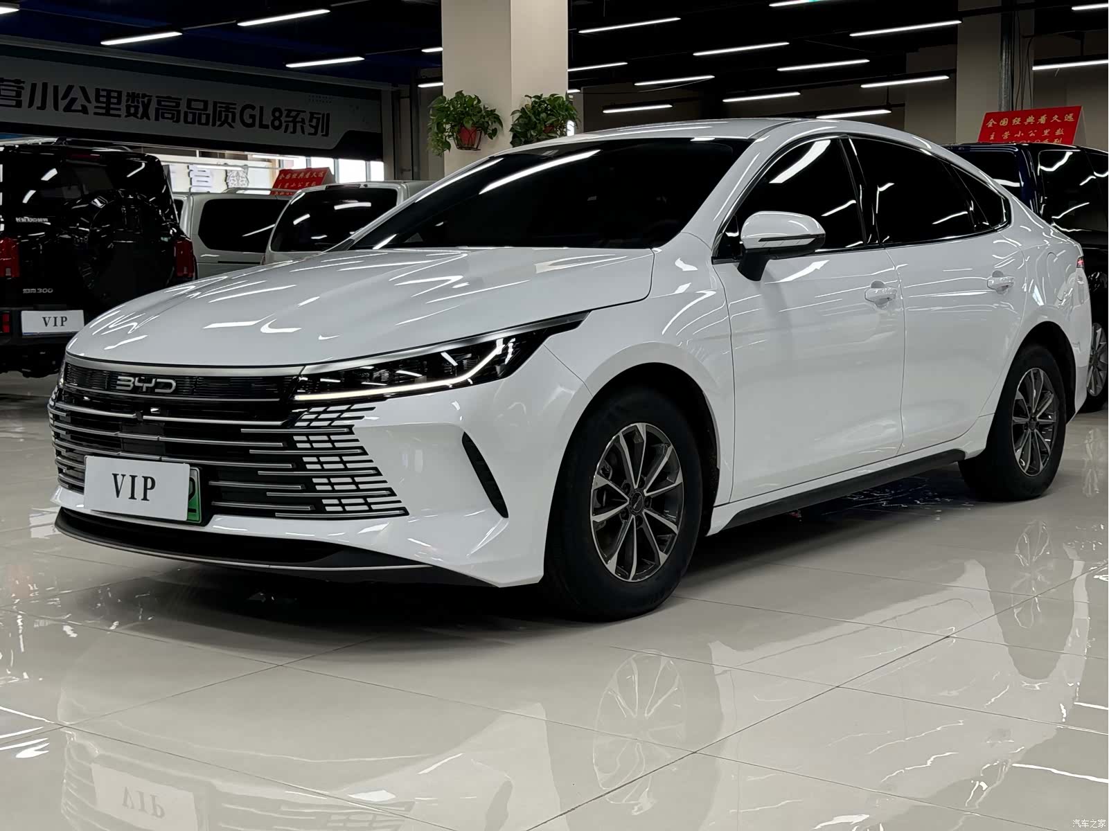 BYD Destroyer 05, 2024 1