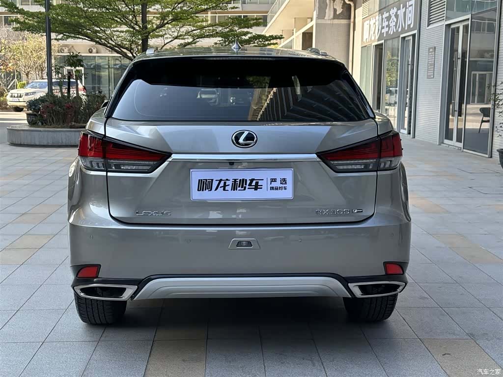 Lexus RX, 2022 7