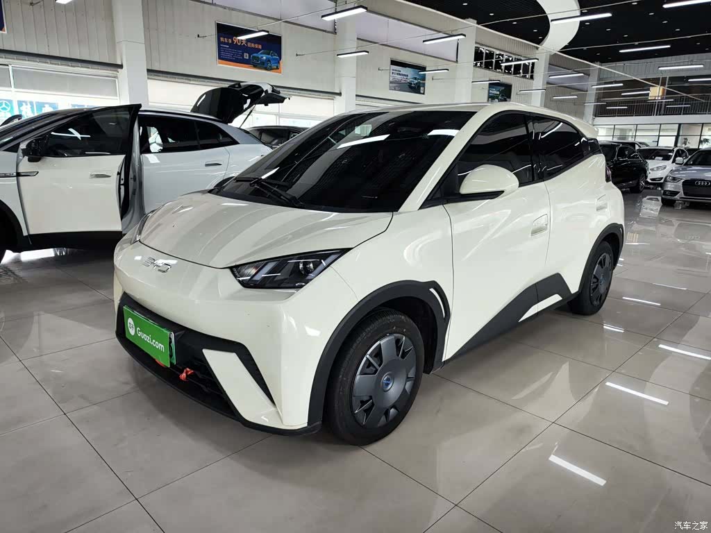 BYD Seagull, 2024 1