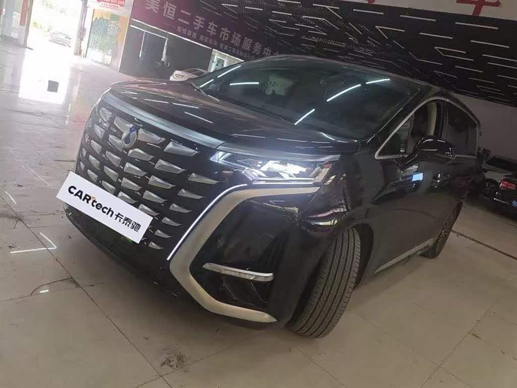 Denza D9
