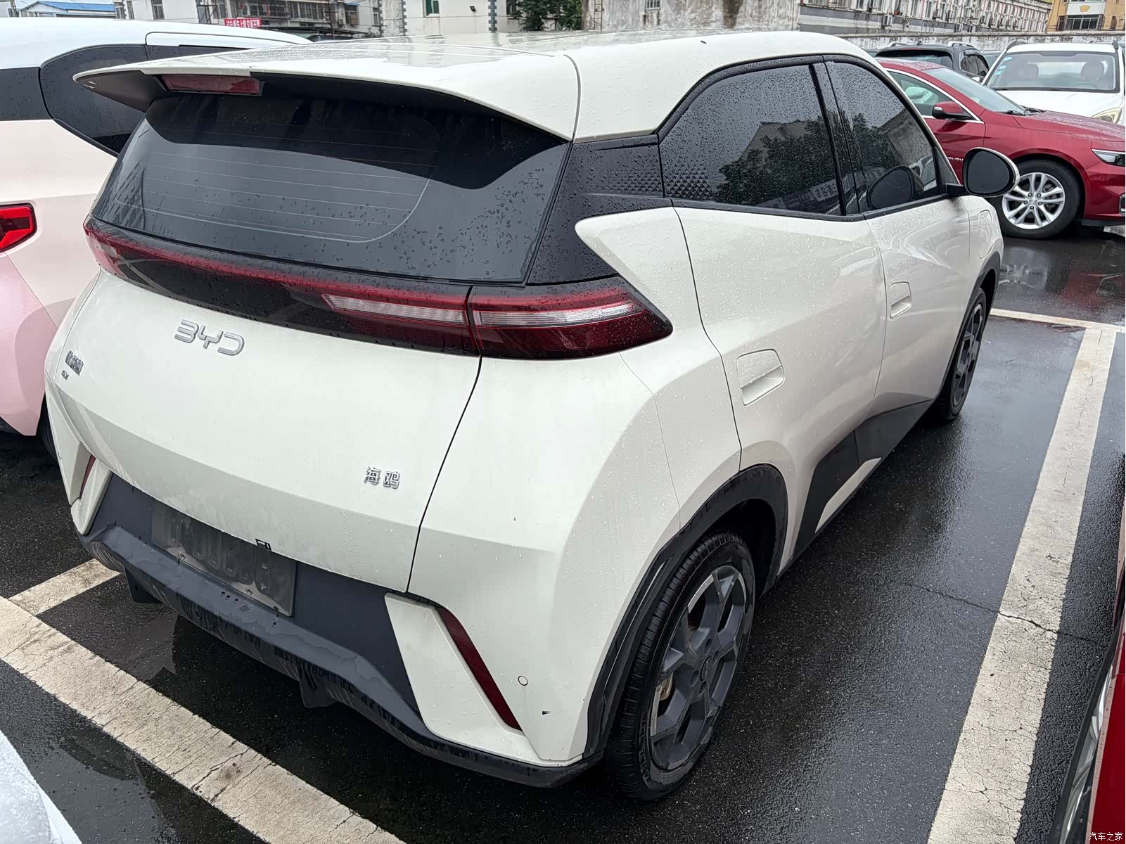 BYD Seagull, 2024 6