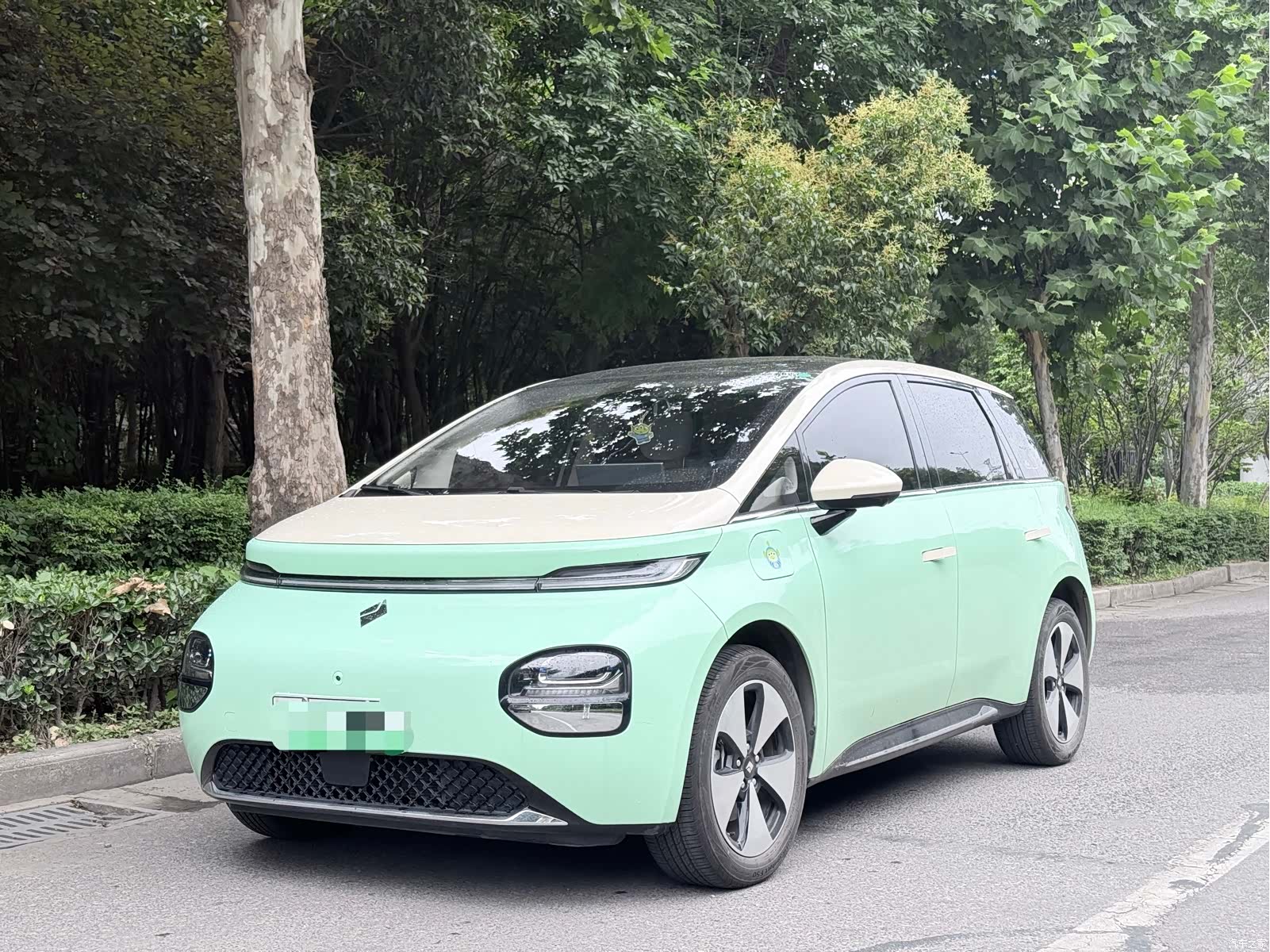 Wuling 460, 2024 1