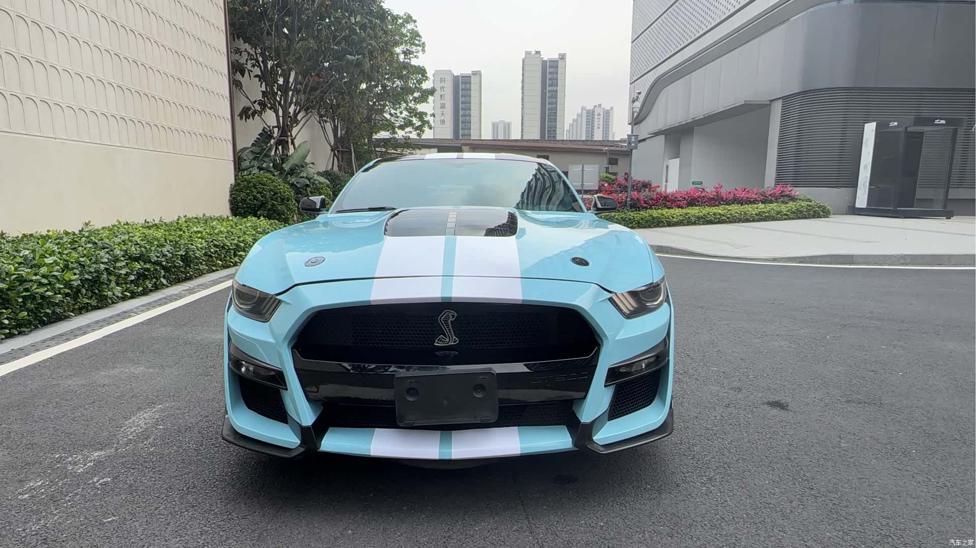 Ford Mustang, 2016 все фото