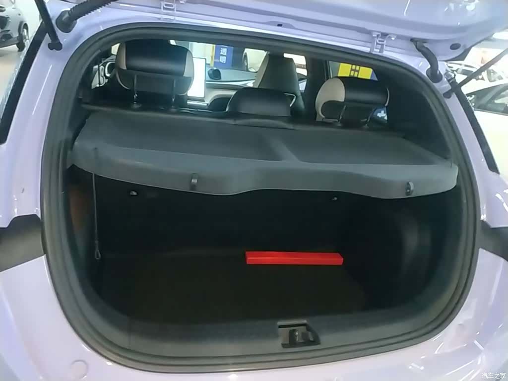 BYD Dolphin, 2024 19