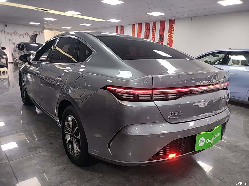 BYD Destroyer 05, 2024 все фото