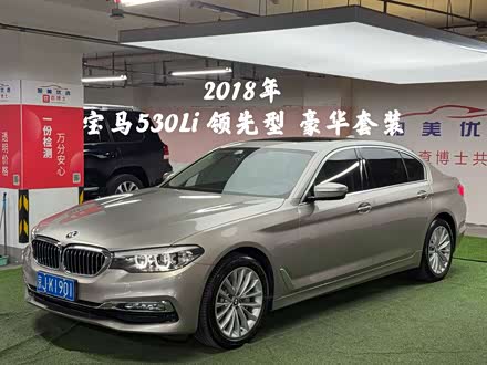 5ϵ 2018 Ŀ 530Li  װ