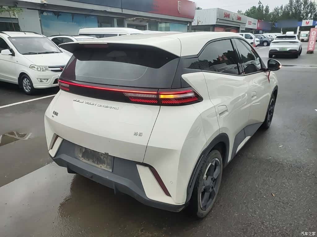 BYD Seagull, 2024 7