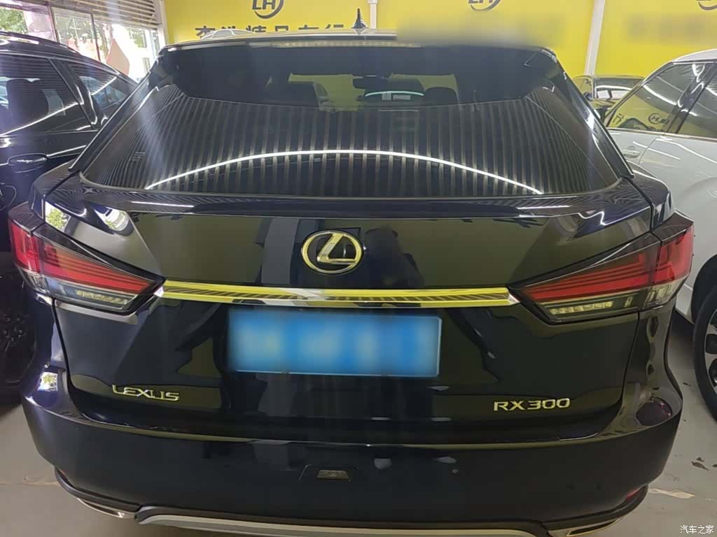 Lexus RX, 2021 6