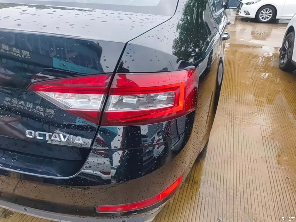 Skoda Octavia, 2019 8