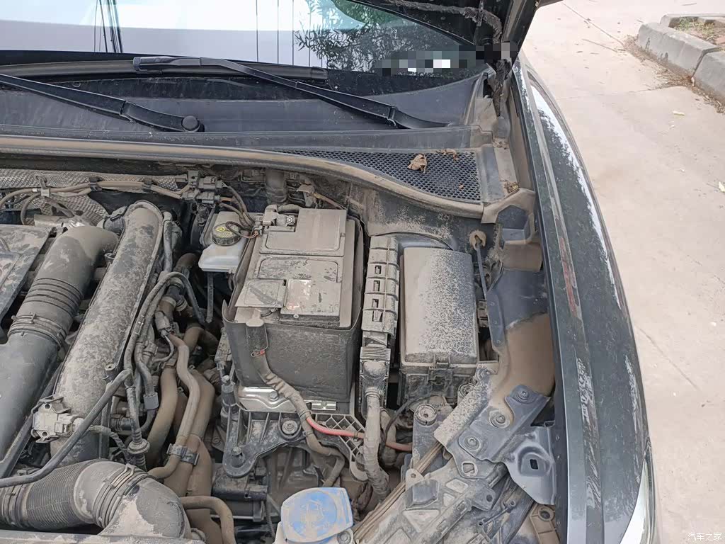 Audi Q3, 2023 24