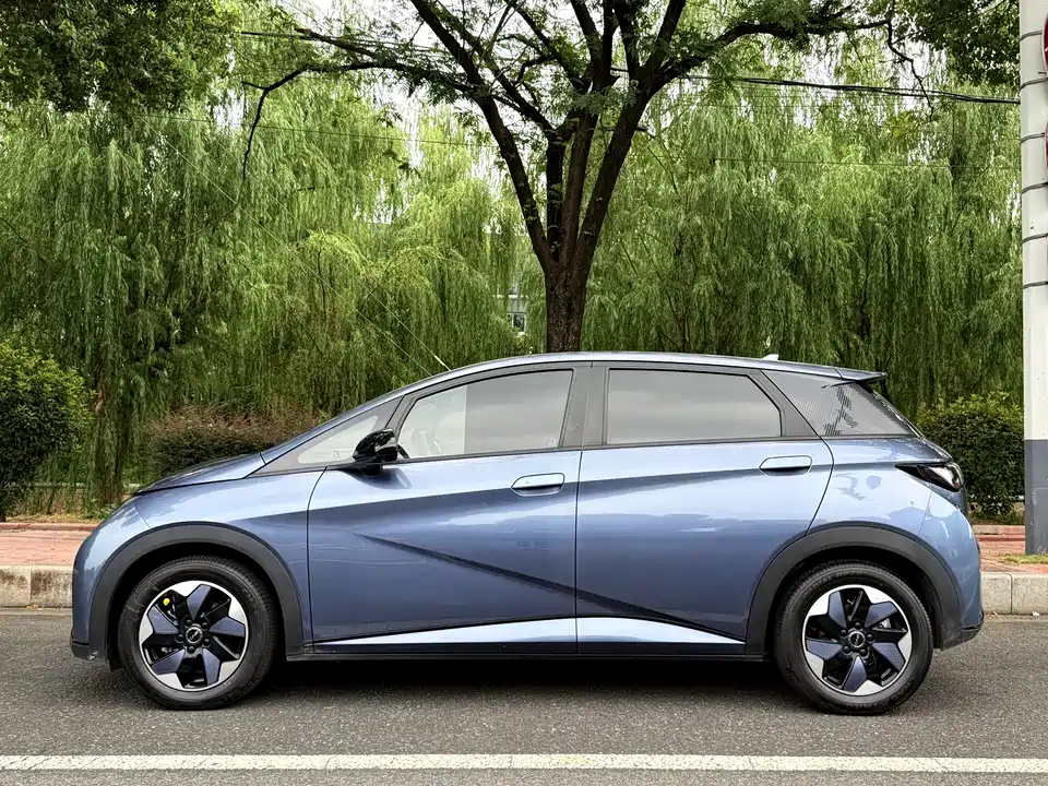 BYD dolphin