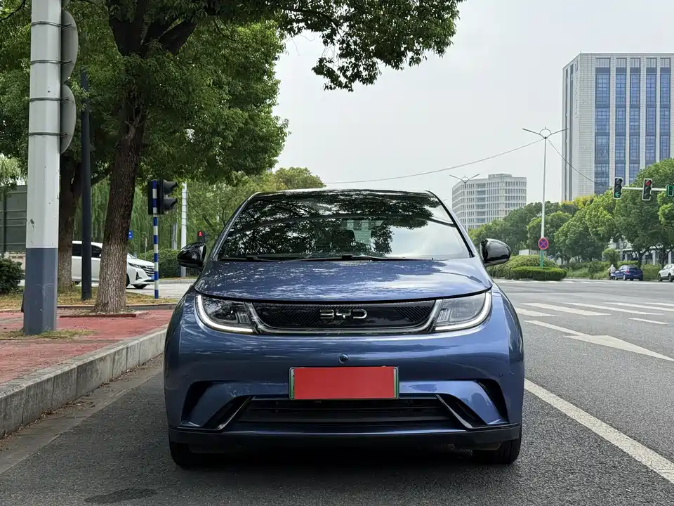 BYD dolphin