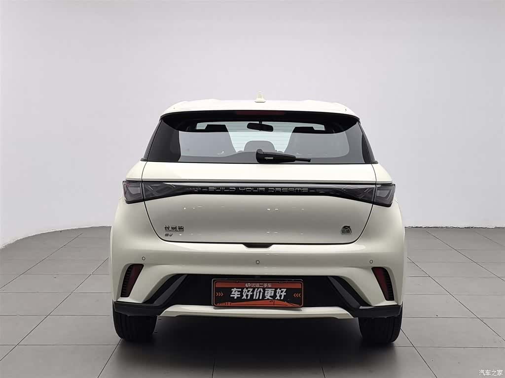 BYD Dolphin, 2024 4