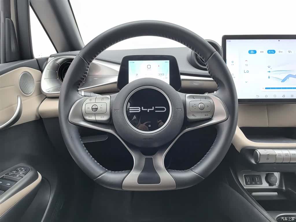 BYD Dolphin, 2024 11