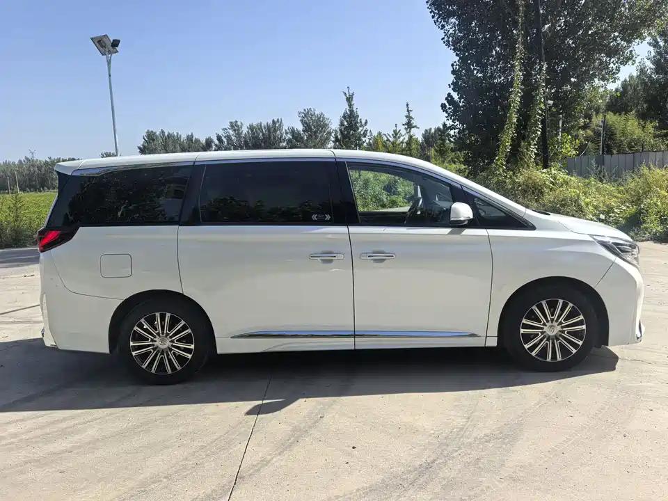 Trumpchi Trumpchi M8