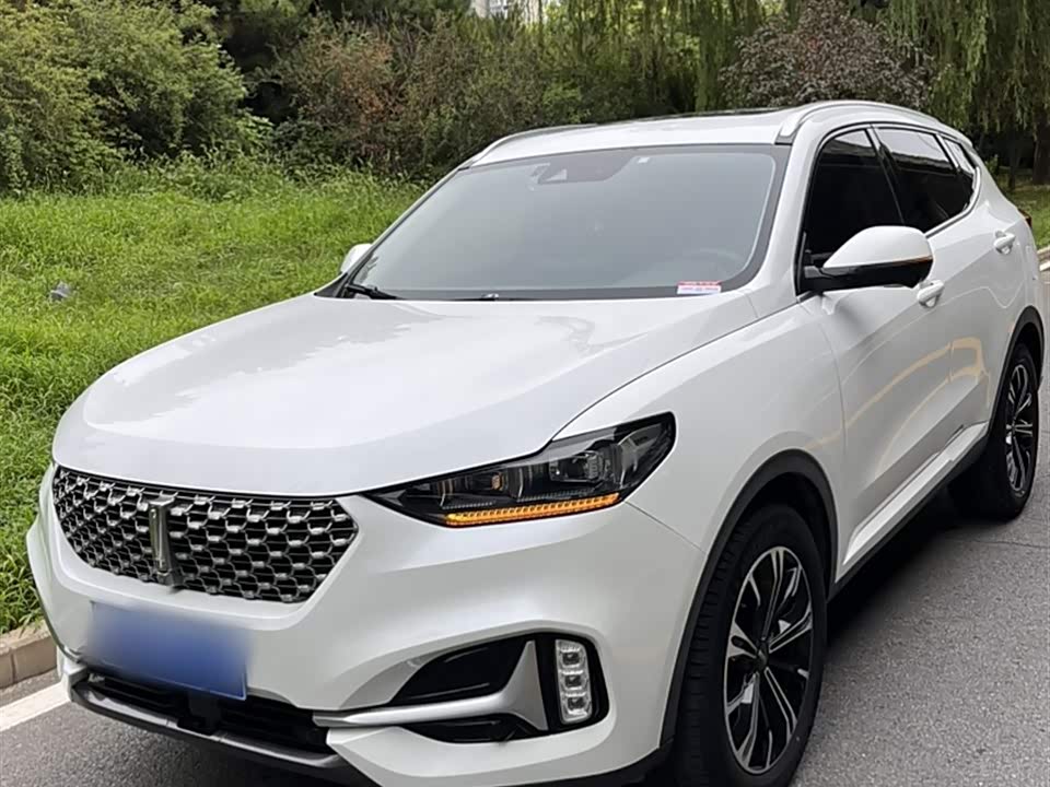 Weipai VV6