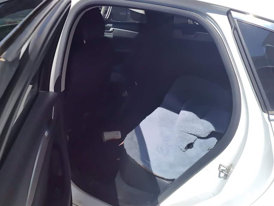 BYD Qin Pro