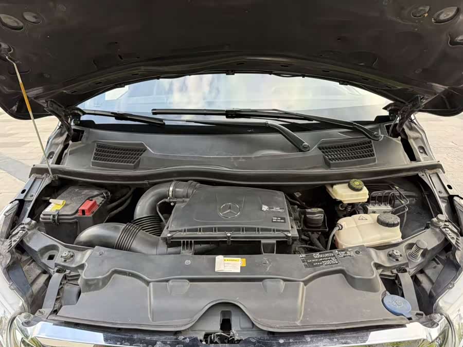 Mercedes-Benz Violin (import) 2020, фото 10