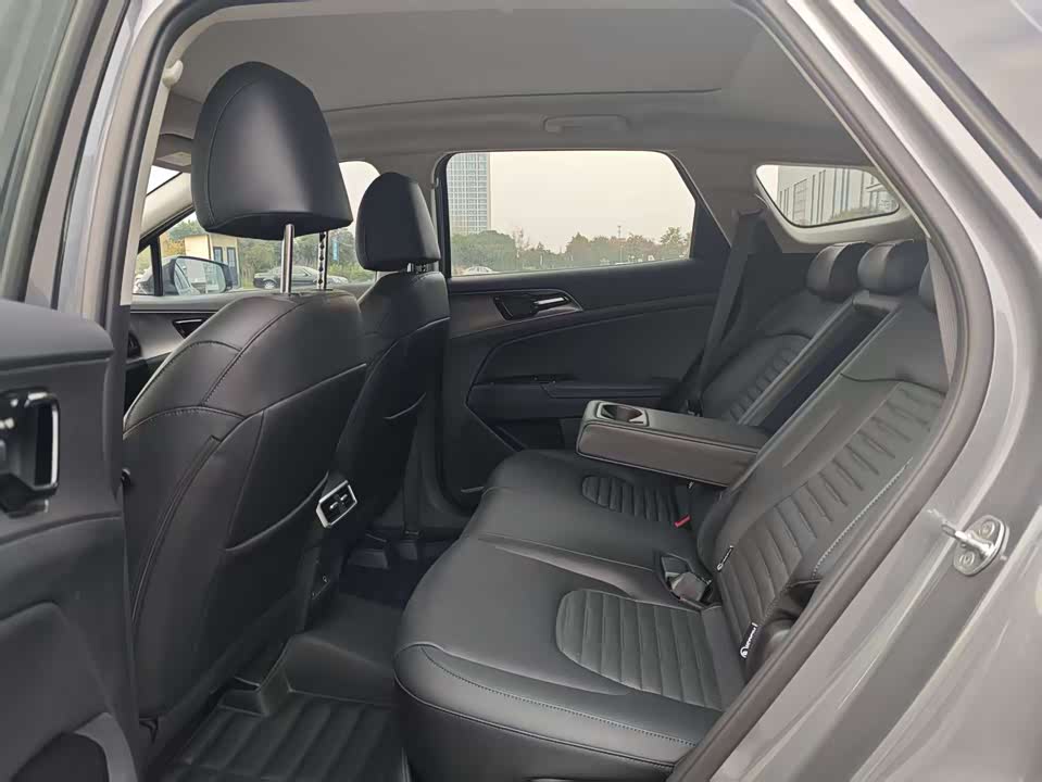 Kia Lion Platinum expands the world