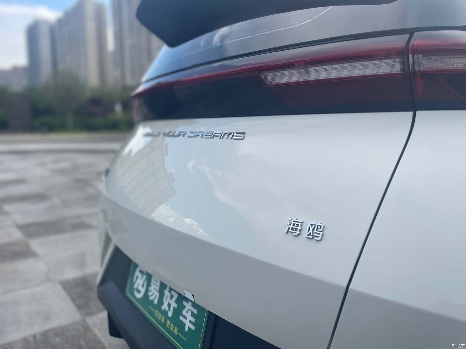 BYD Seagull, 2024 16