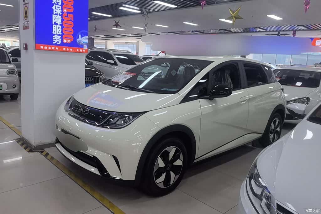 BYD Dolphin, 2026 1