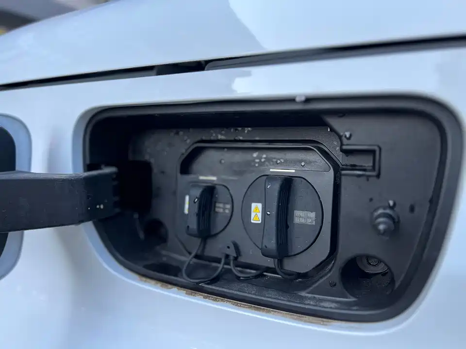 Wuling Wuling Zhiguang