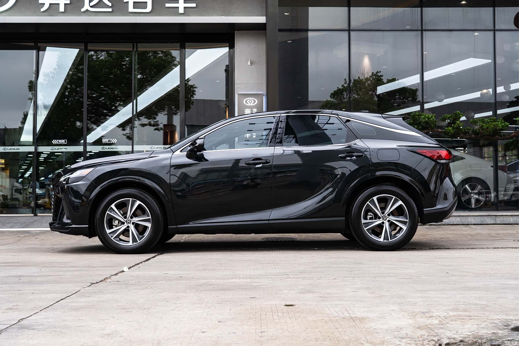 Lexus RX, 2025 4