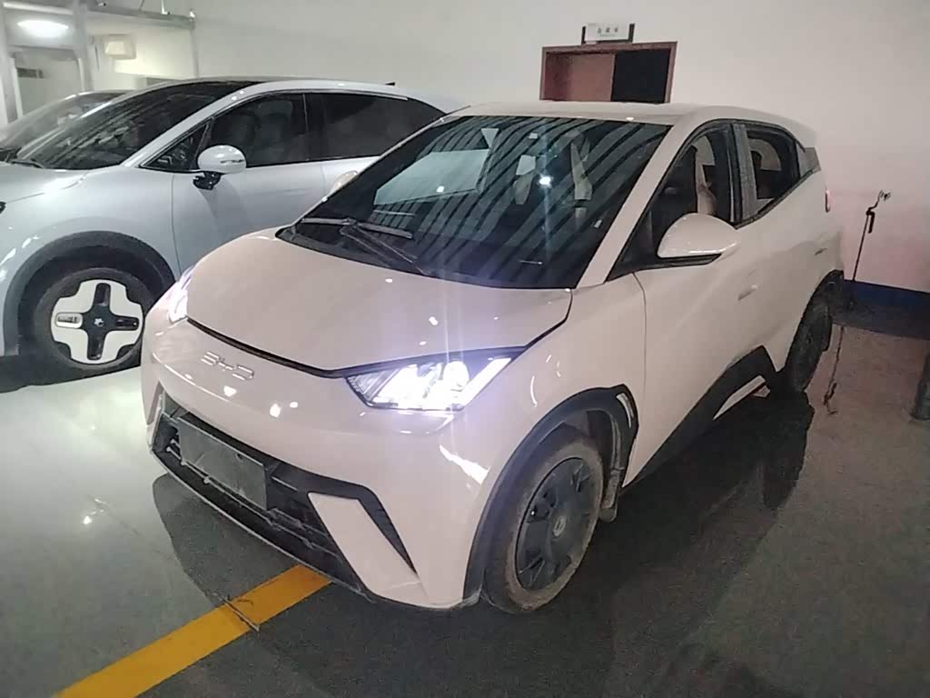BYD Seagull