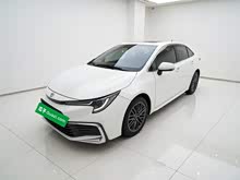 ���� 2023�� 2.0L ������
