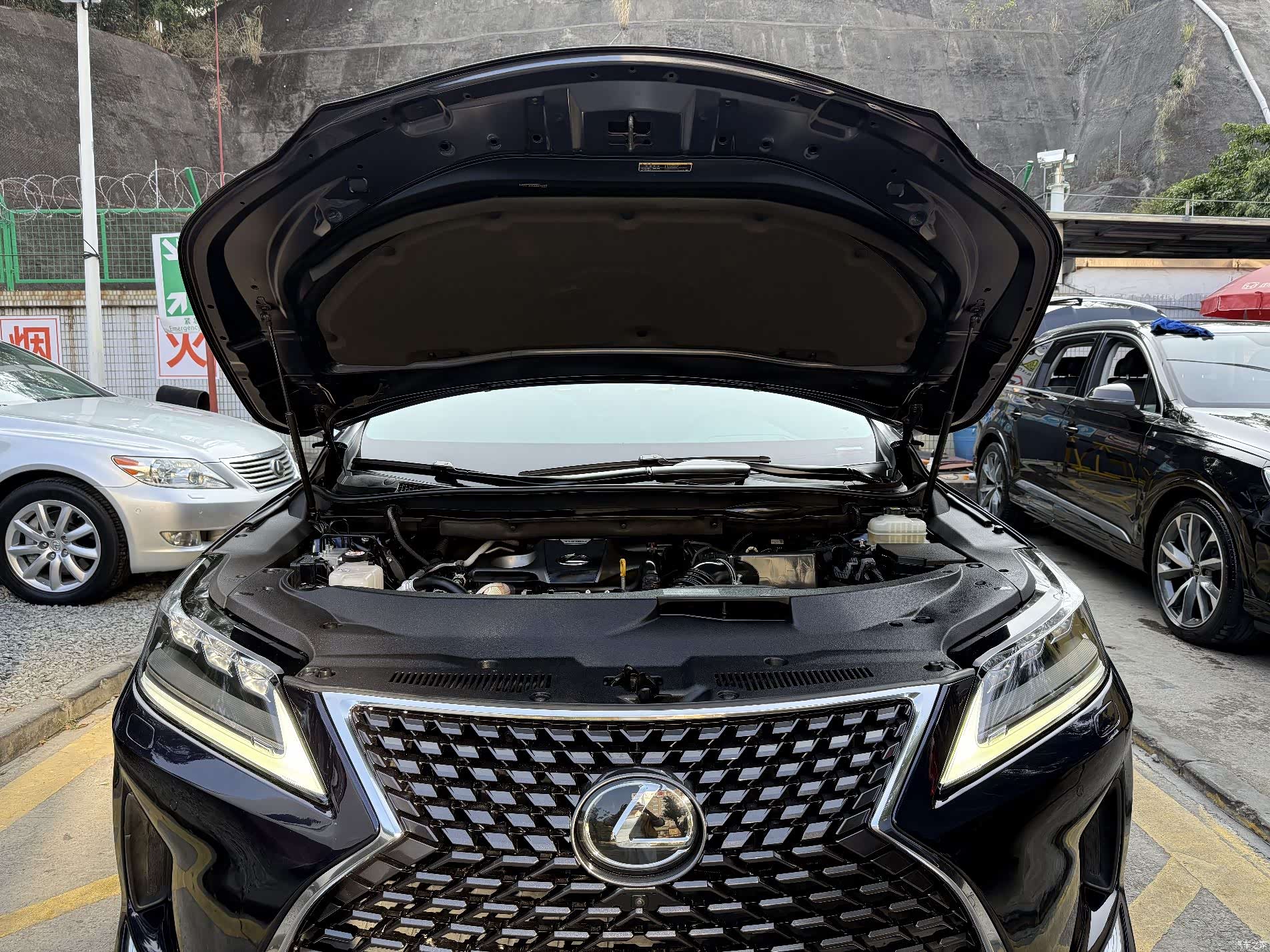 Lexus RX, 2022 19