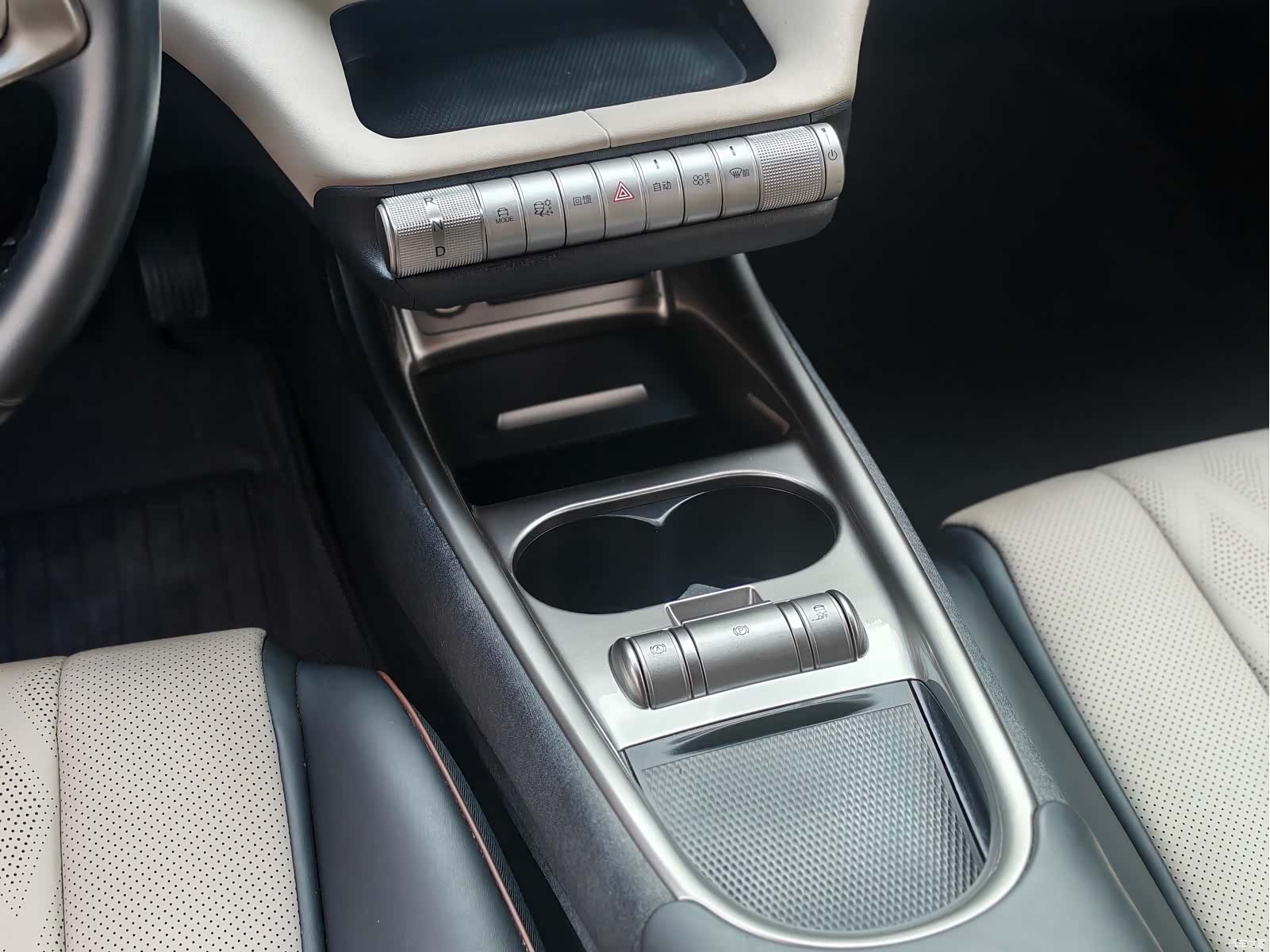 BYD Dolphin, 2024 13