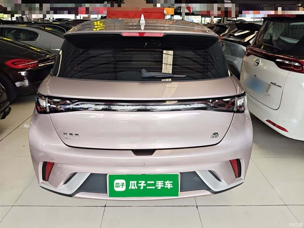 BYD Dolphin, 2023 6
