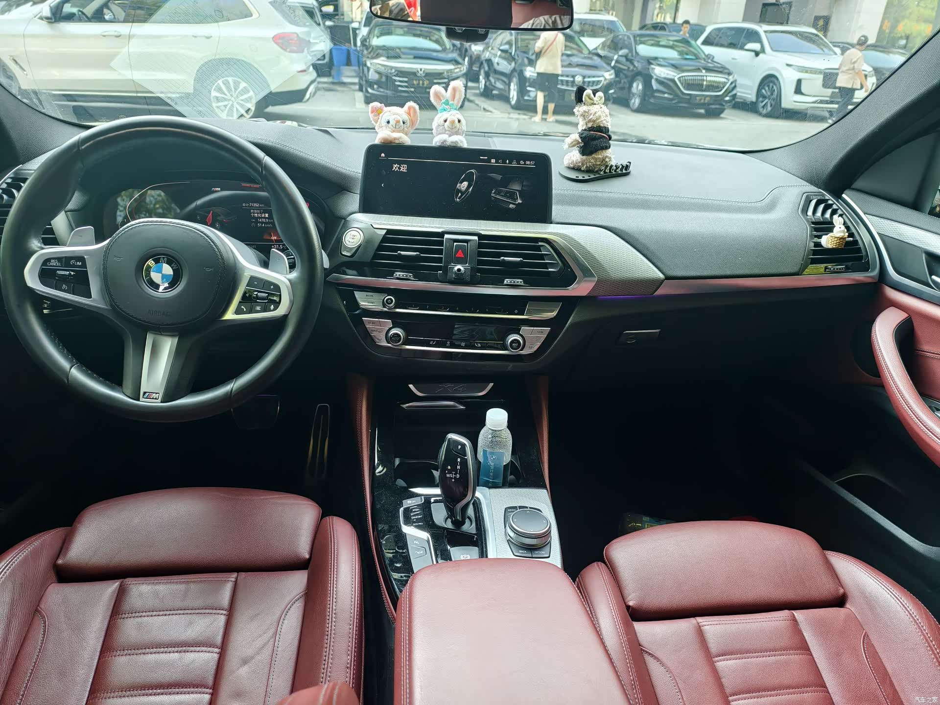 BMW X4, 2020 все фото