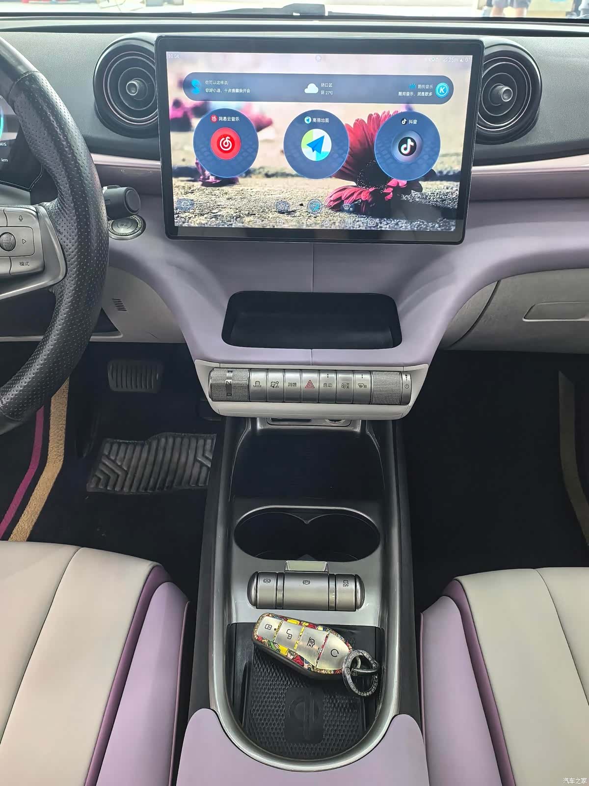 BYD Dolphin, 2022 4