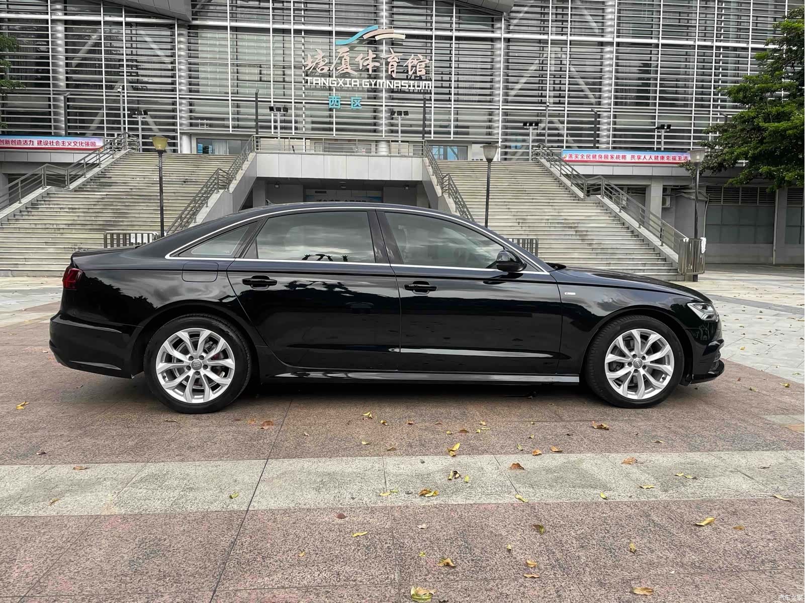 Audi A6L, 2017 все фото