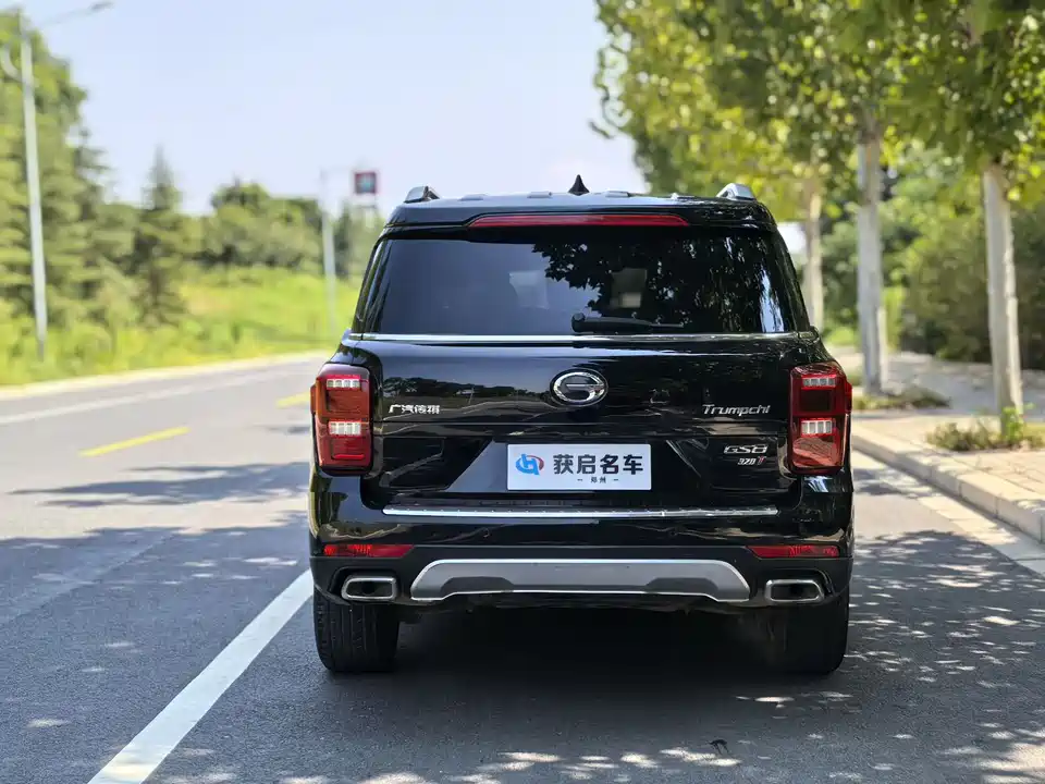 Trumpchi Trumpchi GS8