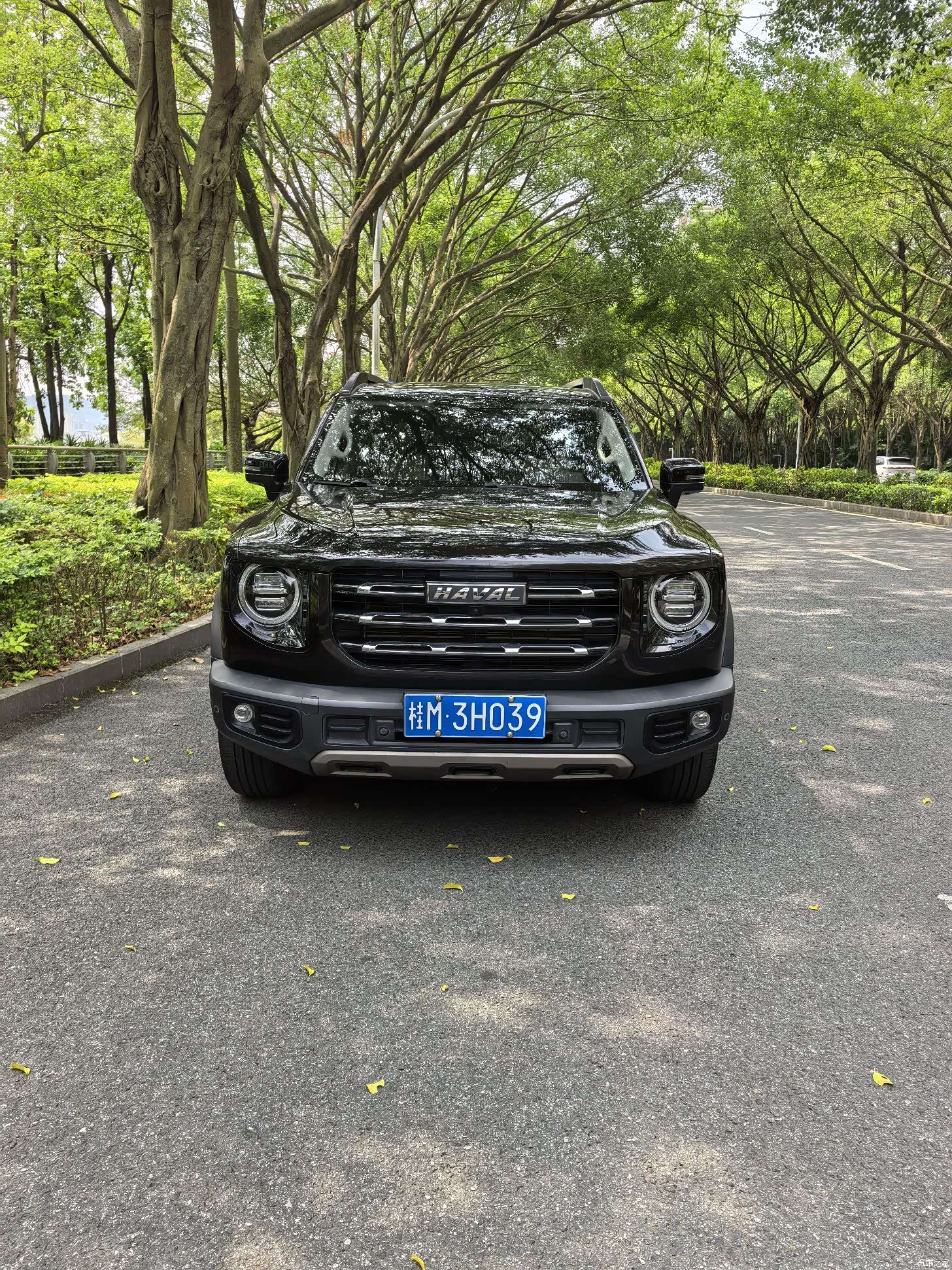 Haval Big Dog, 2021 9